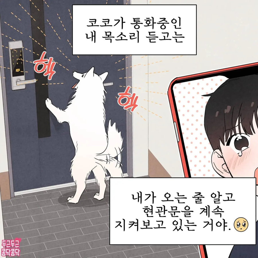주인을 너무 좋아하는 강아지_5.webp