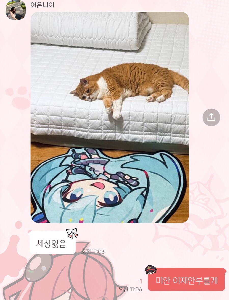 자동급식기로 고양이한테 말걸수 있길래 해봤더니.jpg_3.jpg