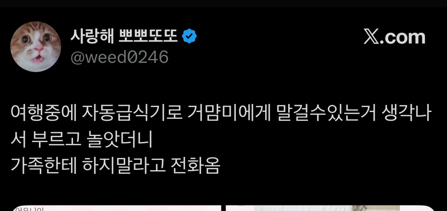 팻캠으로 고양이를 부르면 생기는 효과_1.webp