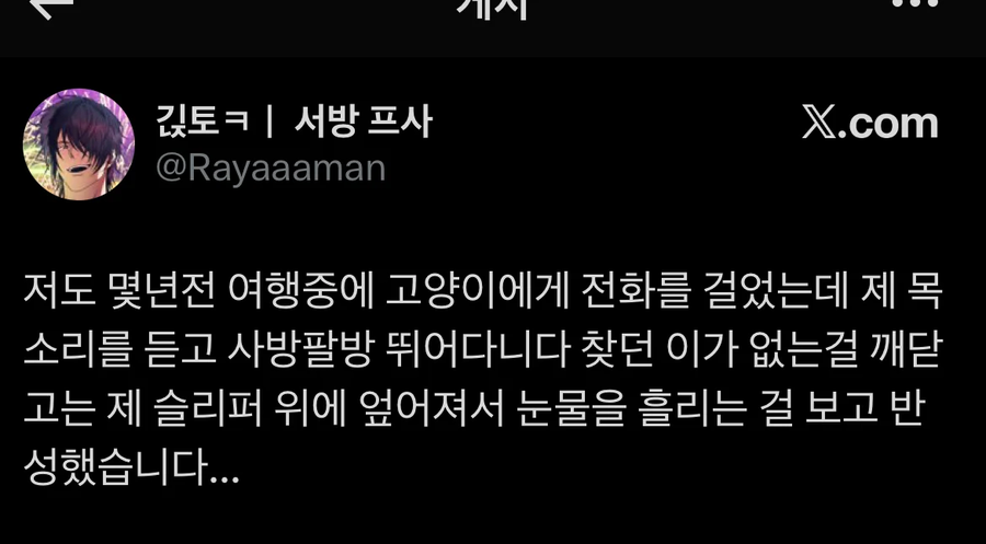 팻캠으로 고양이를 부르면 생기는 효과_4.webp