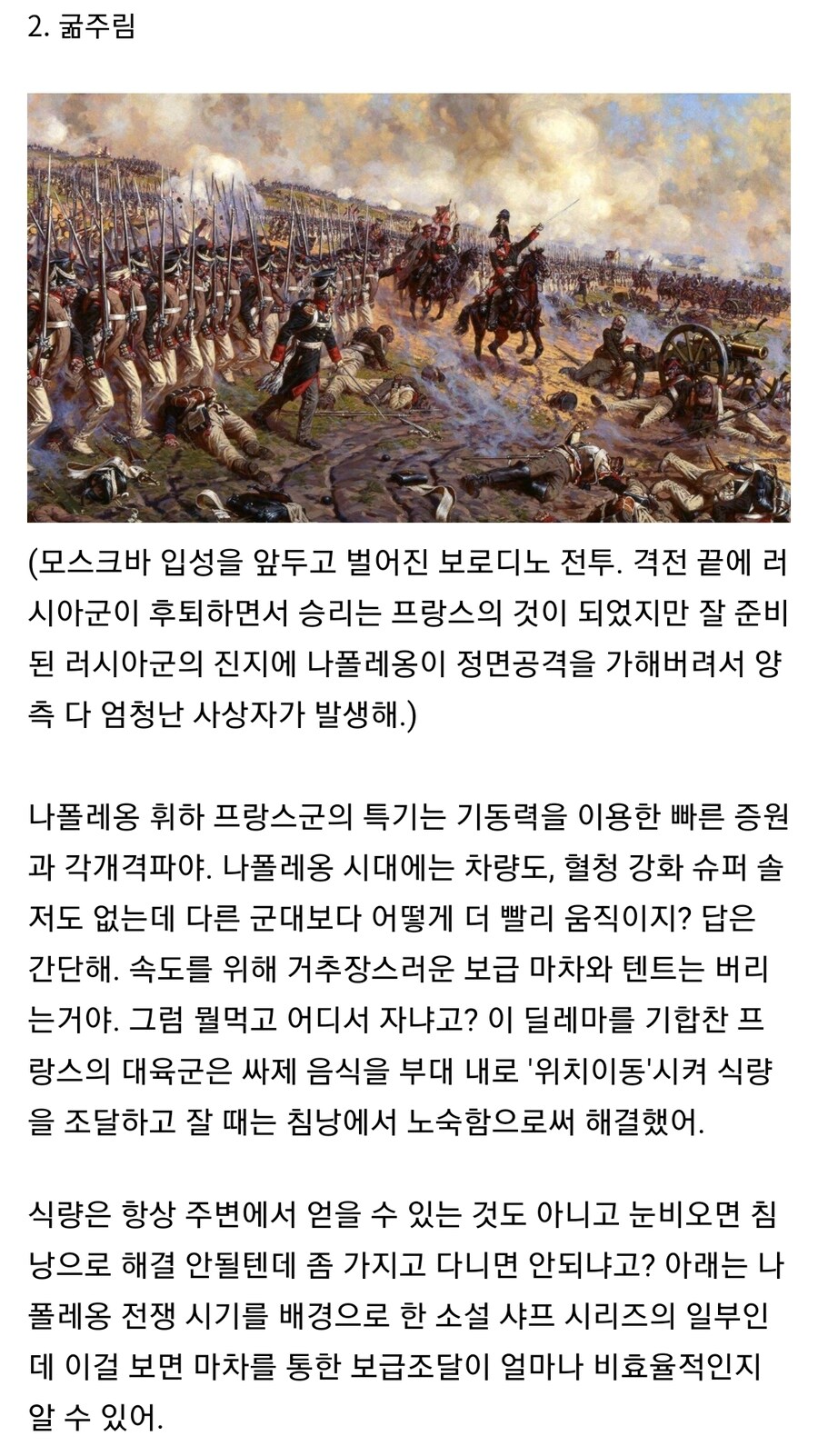 나폴레옹의 러시아 원정에 대한 대표적인 오해_5.jpg