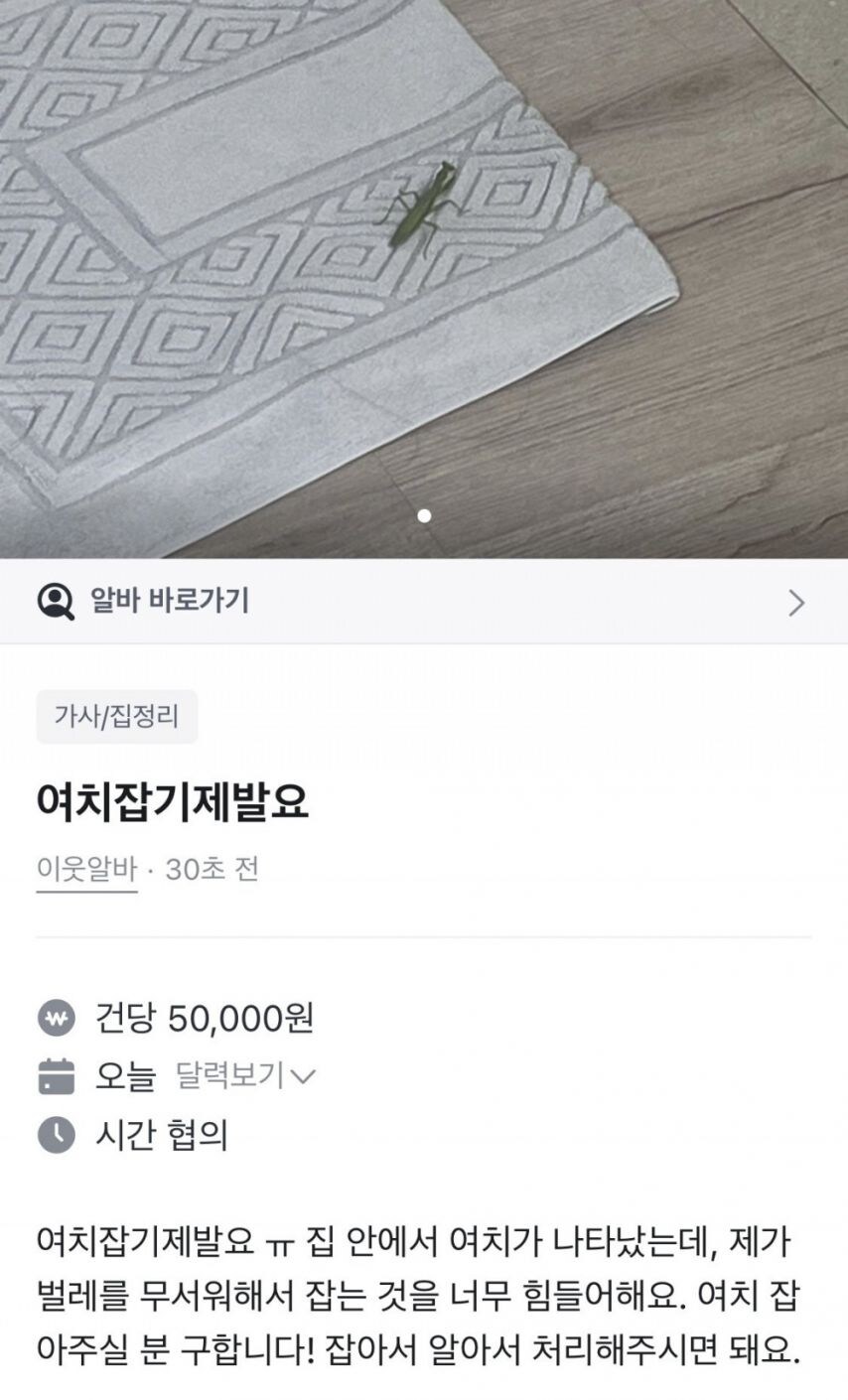 여치잡기제발요ㅠ_1.jpg