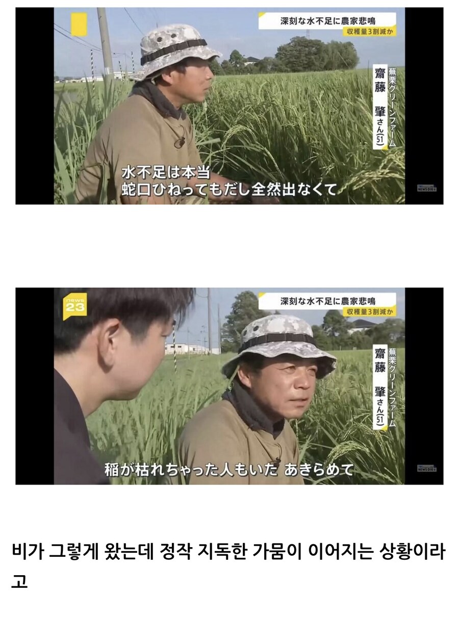 앞으로 더 험난해질 “일본 쌀값”.jpg_1.jpg