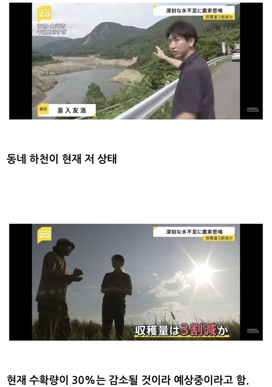 앞으로 더 험난해질 “일본 쌀값”.jpg_2.jpg