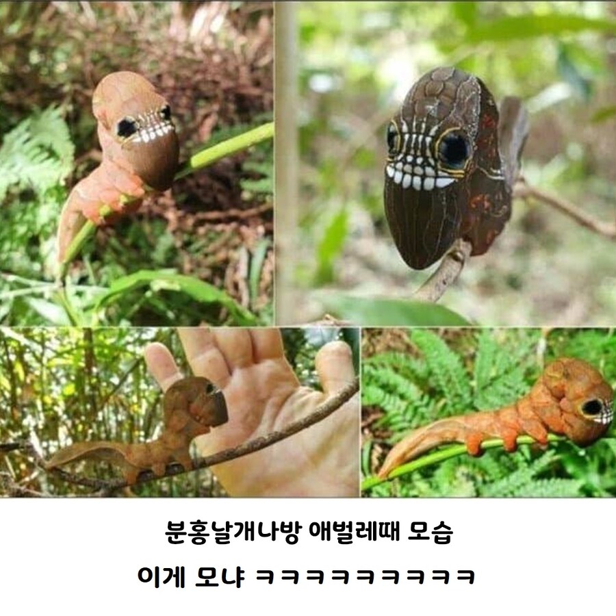 못생기게 태어나서 예뻐지는 케이스.jpg_3.jpg