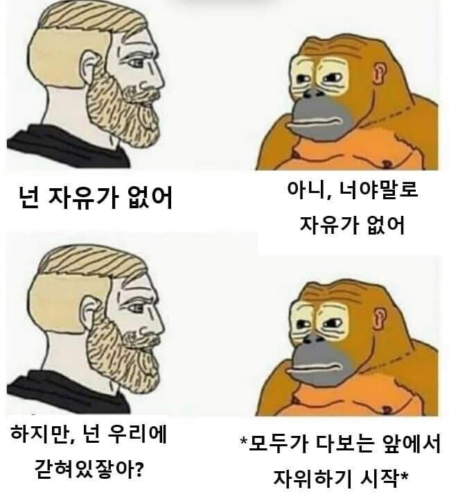 원숭이보다 못한 삶을 사는 인간들_1.jpg
