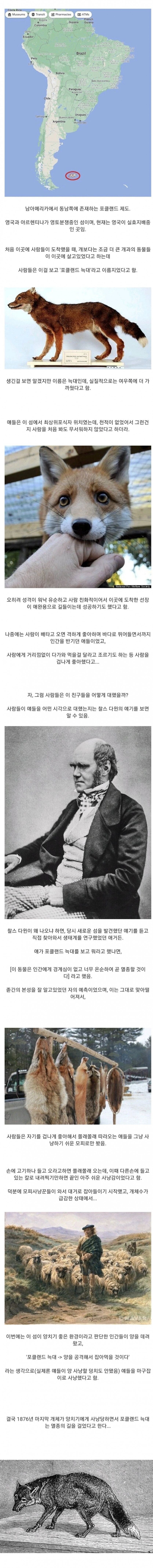 사람을 너무 좋아해서 멸종된 동물_1.jpg