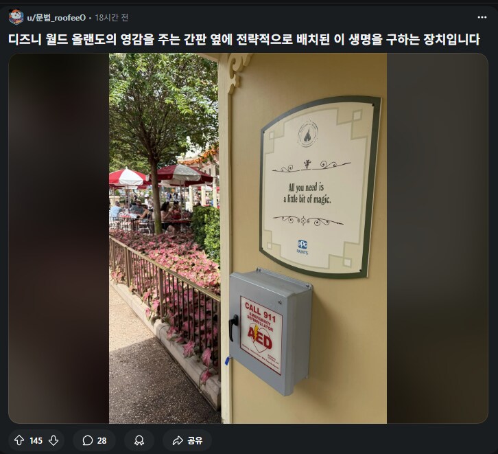 디즈니월드에서 실제로 볼수 있다는 작은 마법_1.png