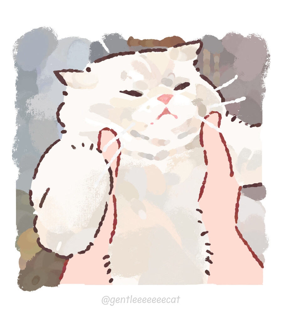쮸글어진 고양이_1.jpg