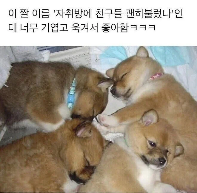자취방에 친구 부른걸 후회함_1.webp