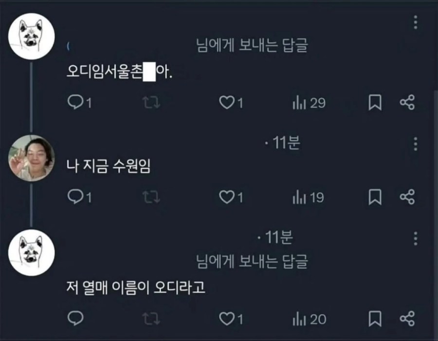 이게 무슨 열매지?_2.webp