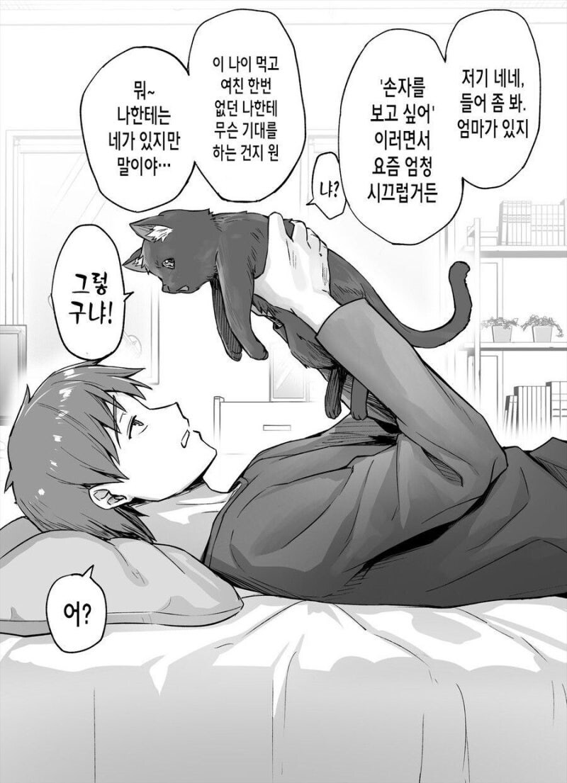엄마가 결혼하라고 잔소리 하는 걸 고양이한테 하소연 했더니_1.jpg