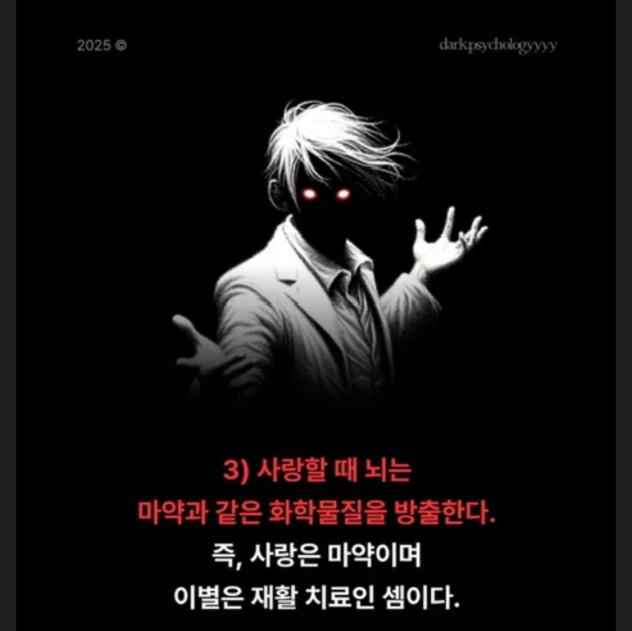 교보문고 판매 1위인 책 다크심리학.JPG_2.webp
