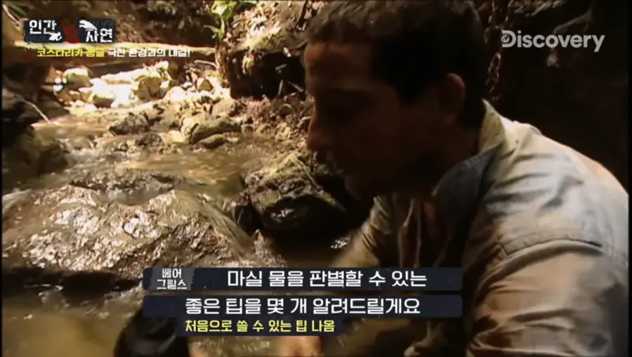 조난 당했을때 깨끗한 물을 구별하는 꿀팁.tip_2.webp