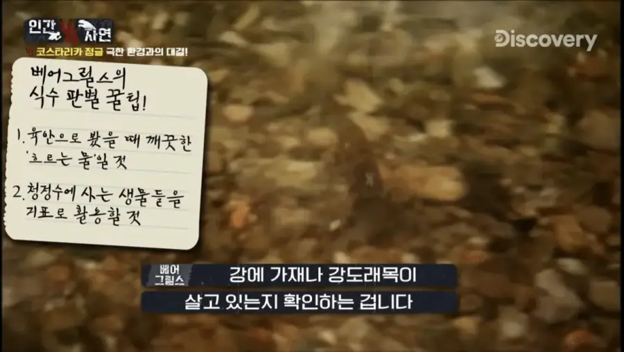 조난 당했을때 깨끗한 물을 구별하는 꿀팁.tip_5.webp