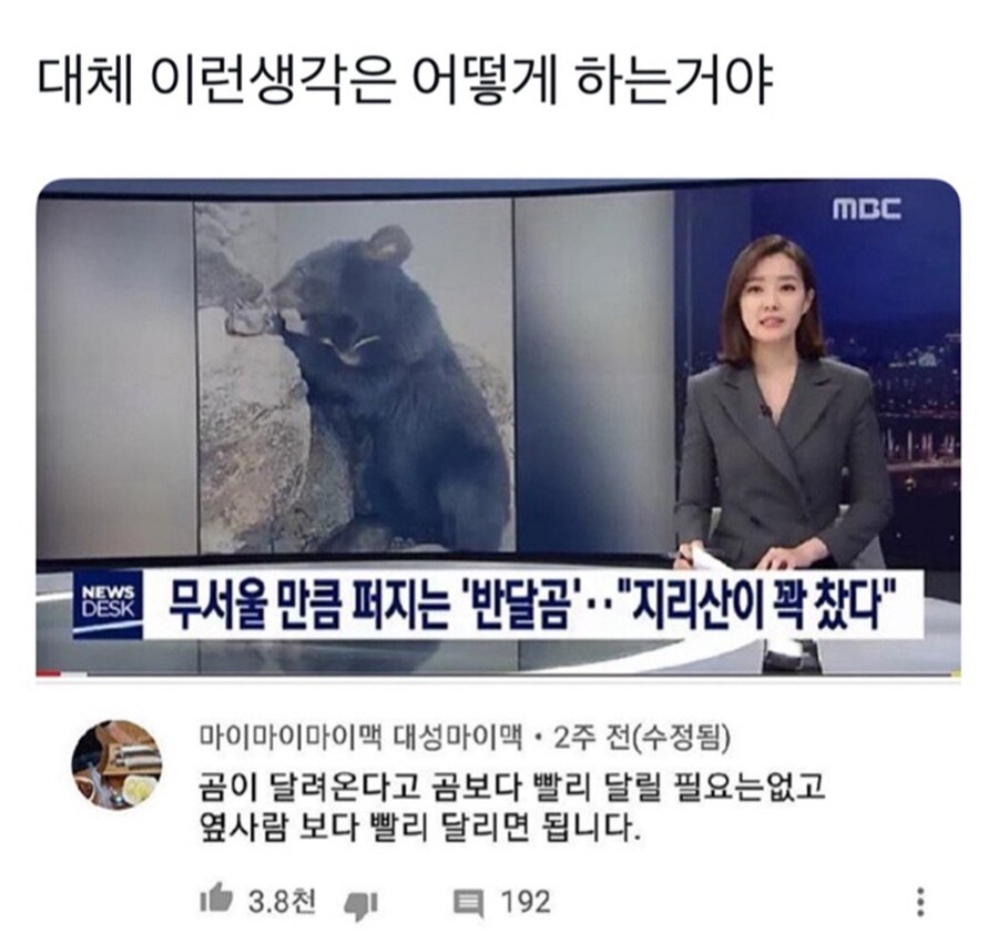 곰이 달려올때 생존법_1.jpg