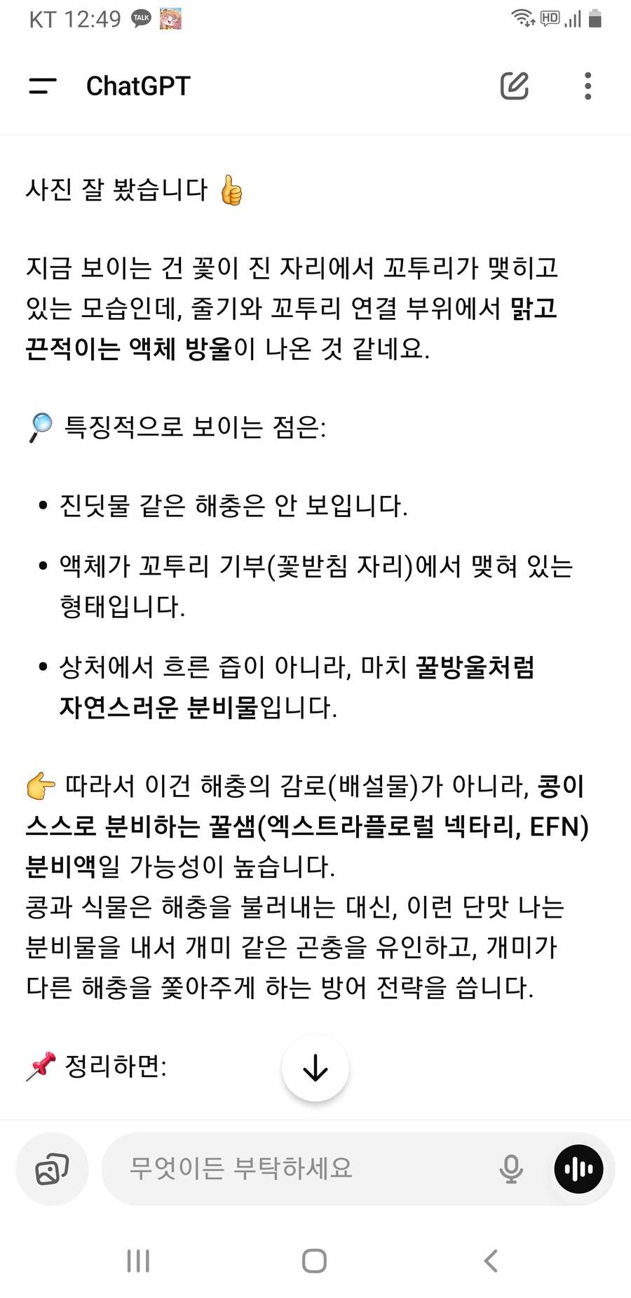 베란다에 콩을 키우고 있는데 알게 된 것_2.jpg