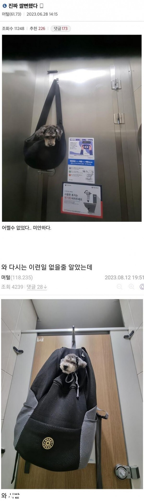 강아지 산책시키다 급똥 신호 온_1.png