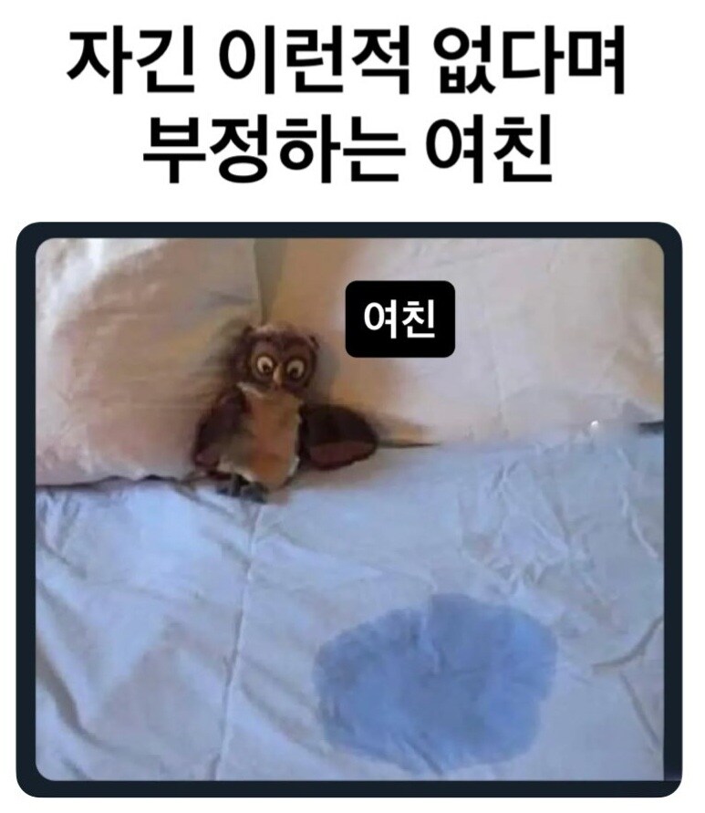 자긴 이런적 없다며 부정하는 여친.jpg_1.jpg