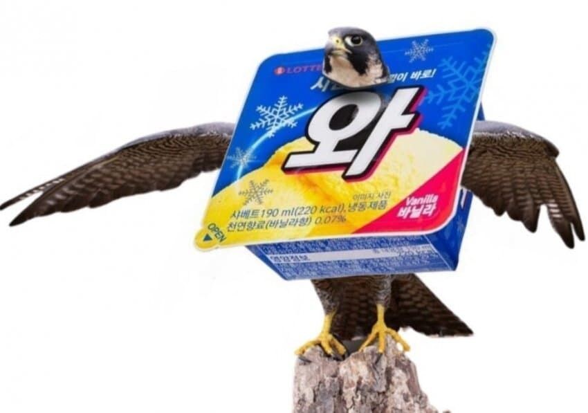 와 몸매 ㄷㄷ_1.jpg