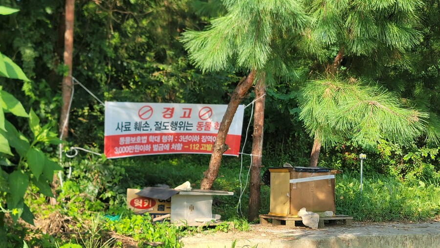 캣맘년이 이딴거 붙여놨는데 신고 가능?_1.jpg