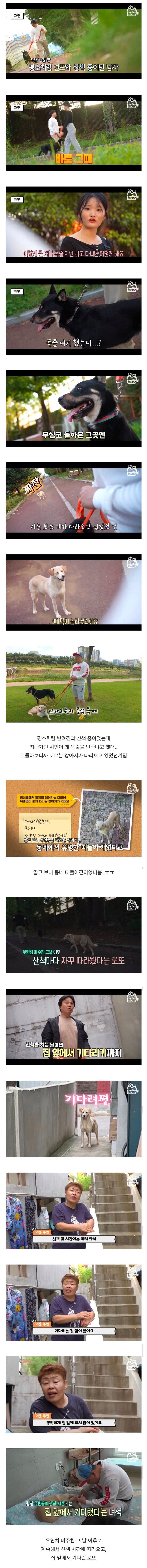 목숨을 걸고 한 달 만에 집으로 돌아온 강아지_1.png