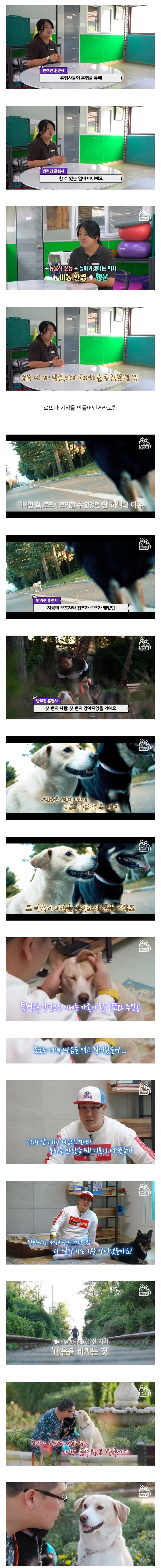 목숨을 걸고 한 달 만에 집으로 돌아온 강아지_6.png
