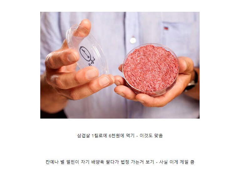 배양육 대중화가 필요한 이유_1.png