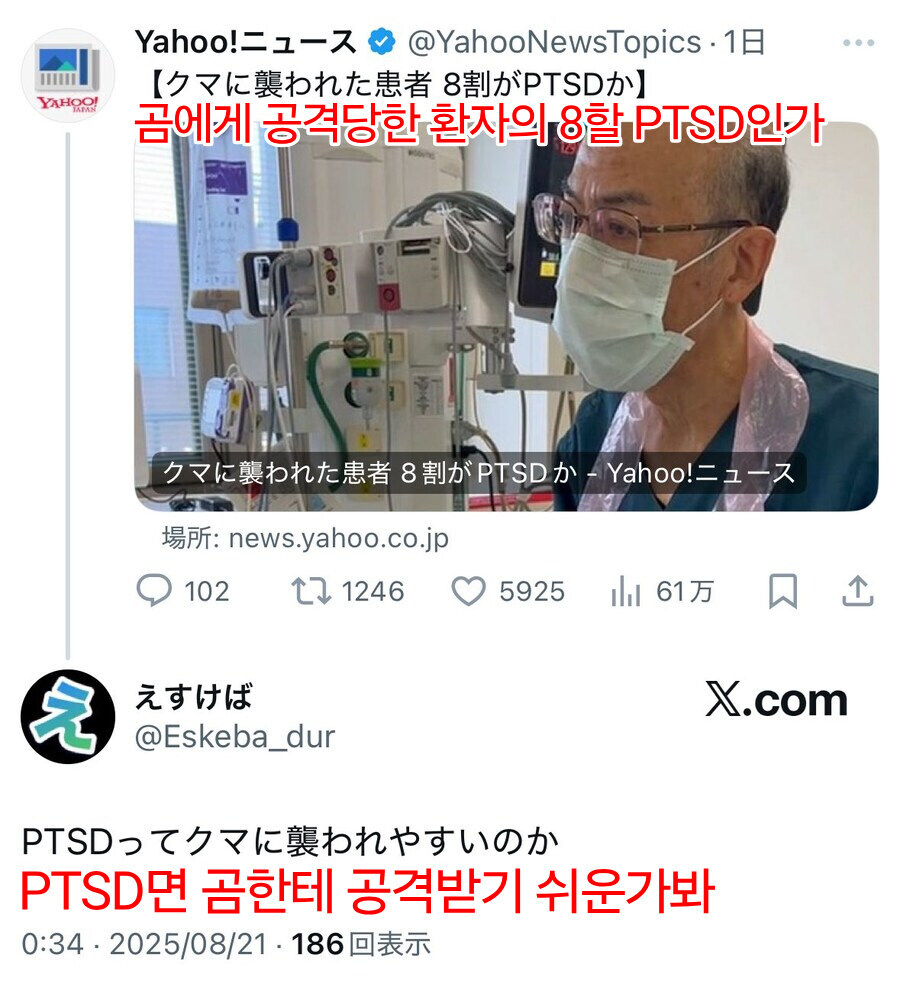 곰에게 당한 환자 8할 ptsd_1.jpg