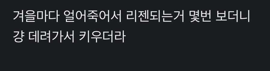 캣대디 친구가 고양이를 기르기 시작하게된 계기_2.jpg