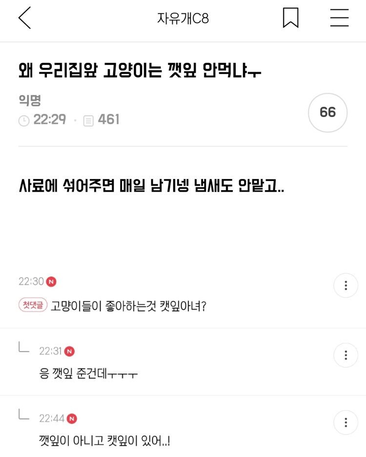 이상하다 우리집 고양이는 왜 깻잎을 안좋아하지_1.jpg