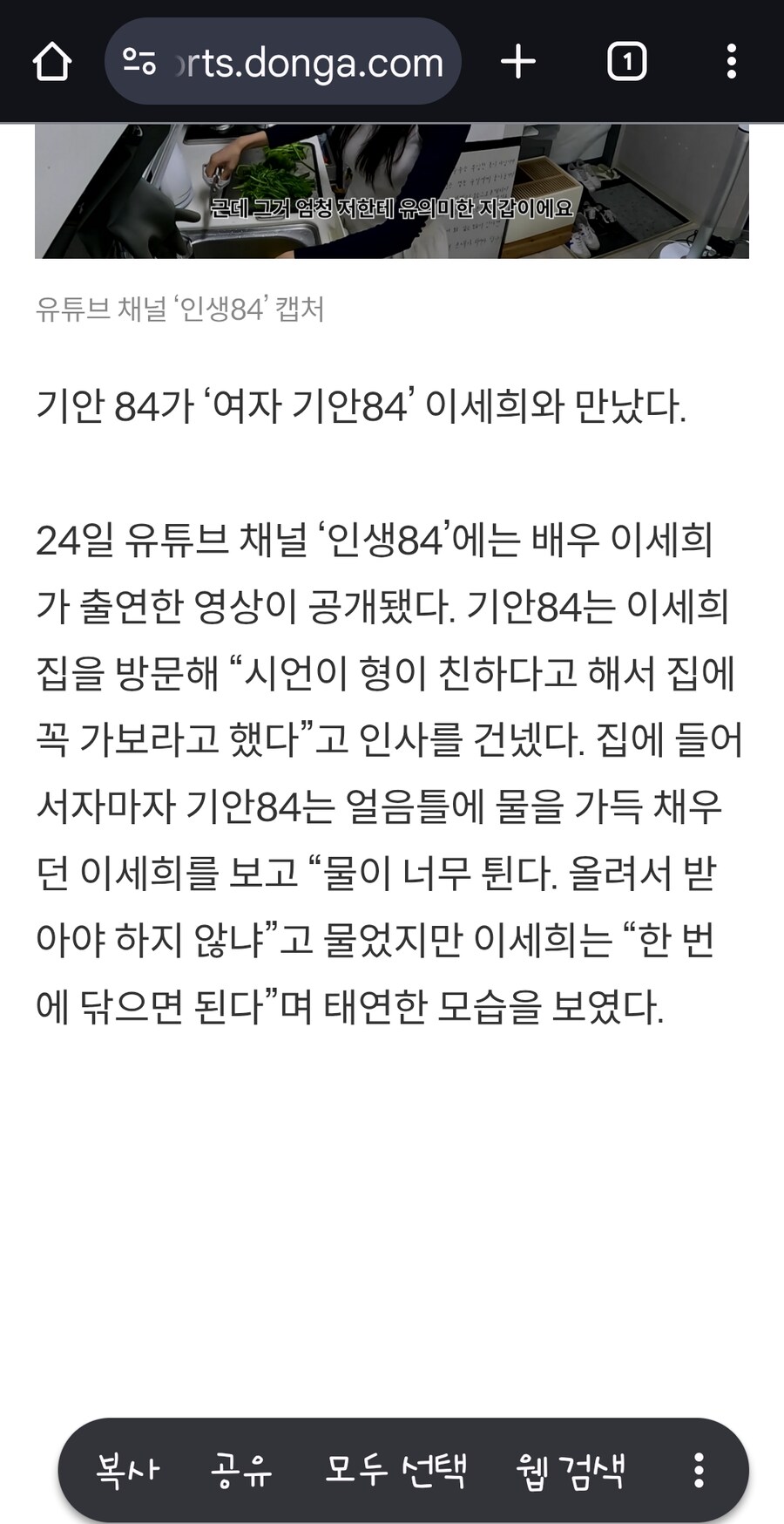기안84,이세희