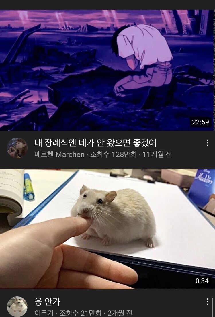 가끔 너무한 유튜브 알고리즘_1.jpg