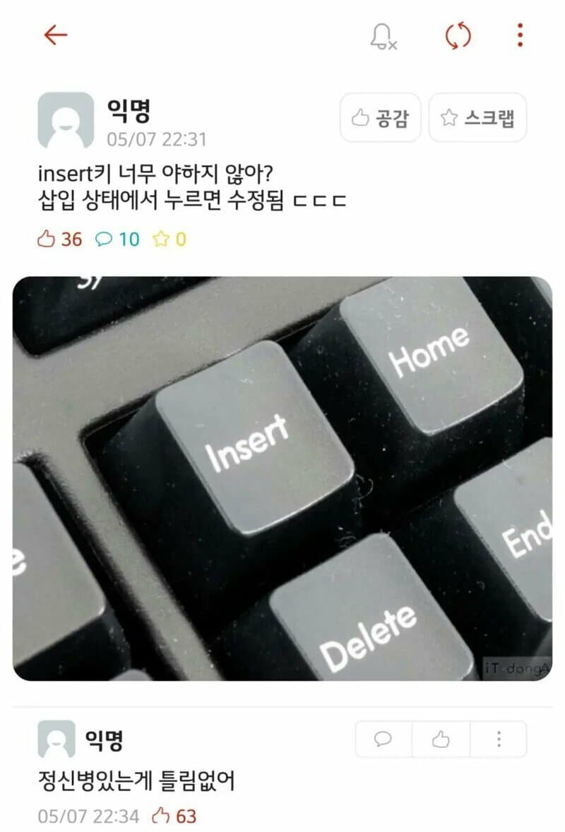 insert. 키가 야한 이유_1.jpg