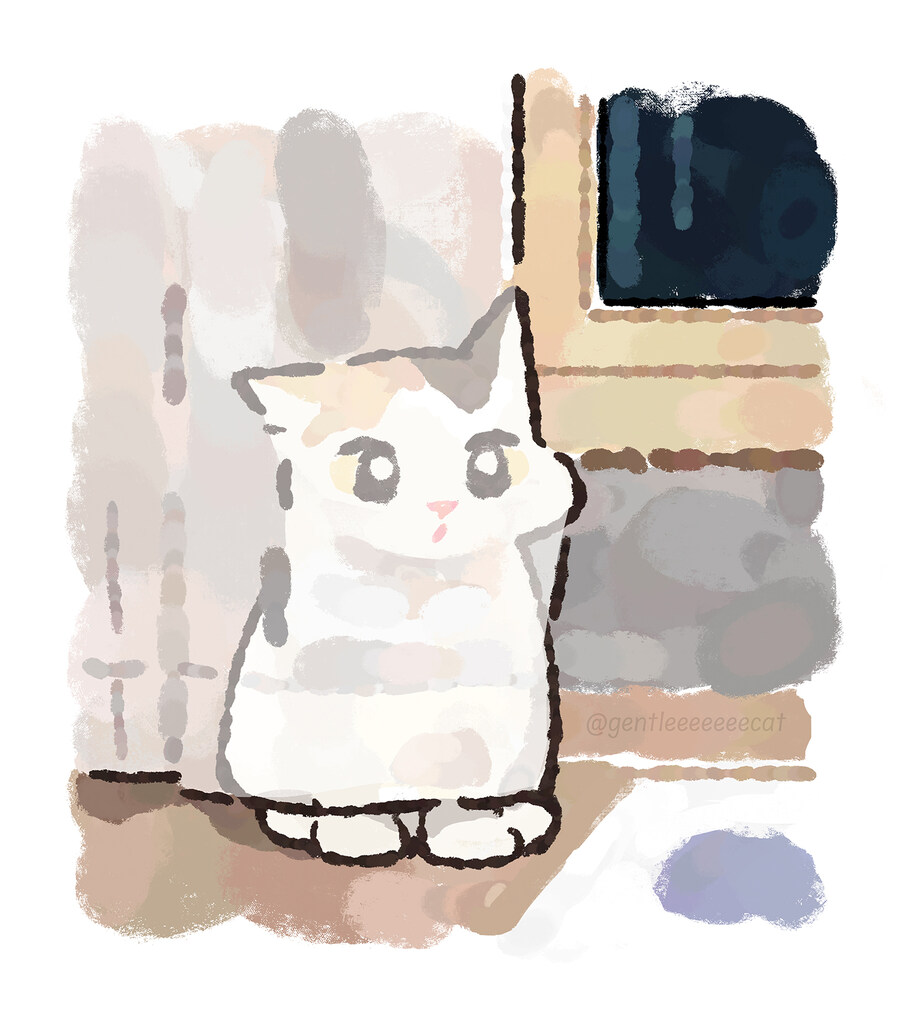 커튼 뒤에 숨은 고양이_1.jpg