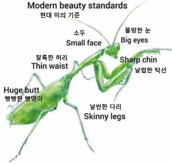 현대 미의 기준.jpg_1.jpg
