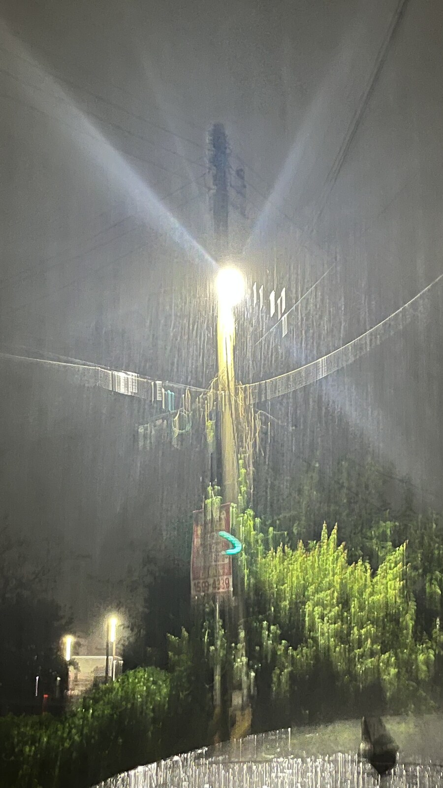 떠내려 간다냥_1.jpg