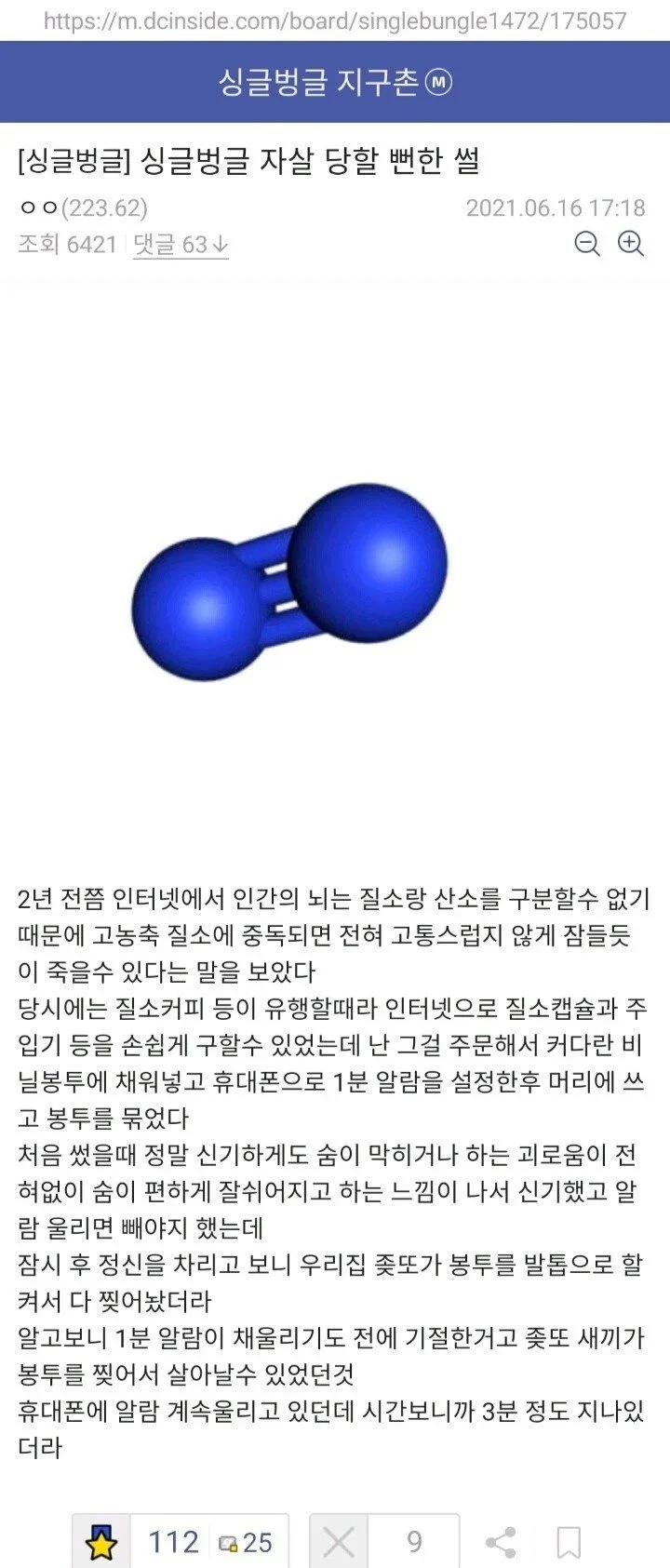 셀프 영원한 수면 시도한 디시인.jpg_1.webp