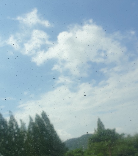 날씨] 모순_2.jpg