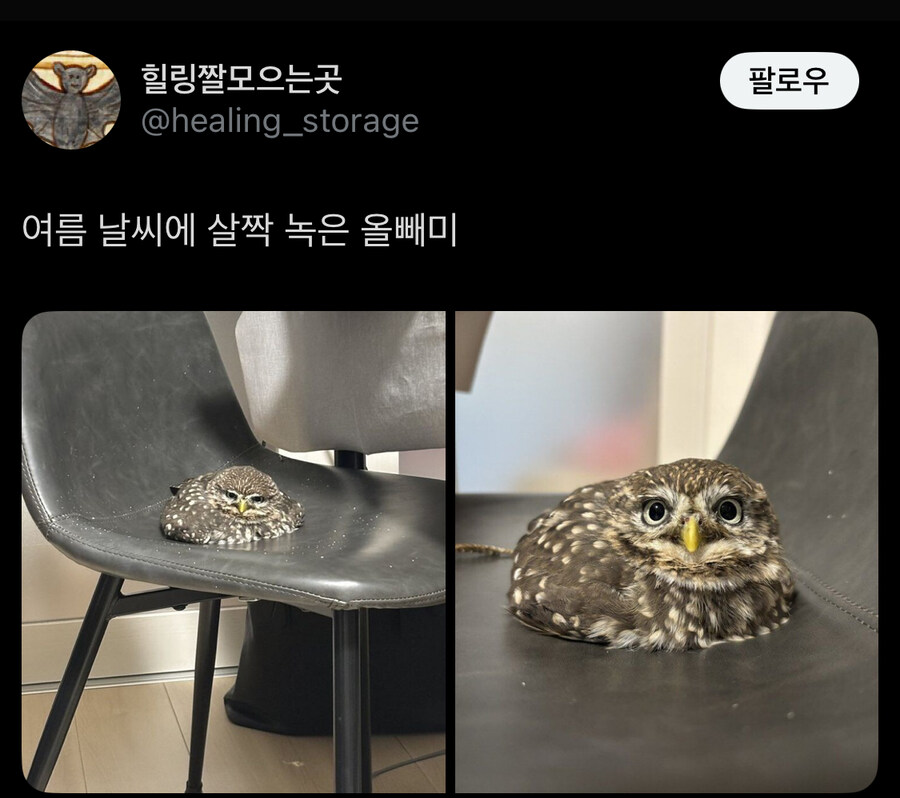 브으으으어어어엉_1.jpg