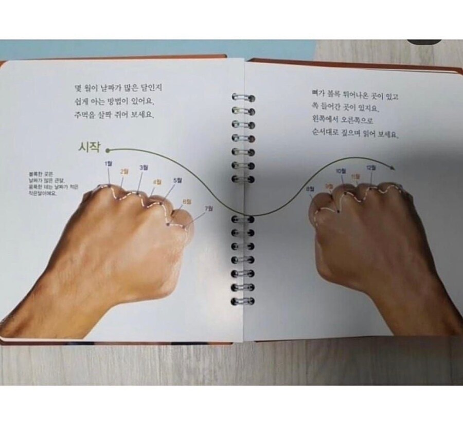 어렸을 적에 이거 배운 사람??? jpg._3.jpg