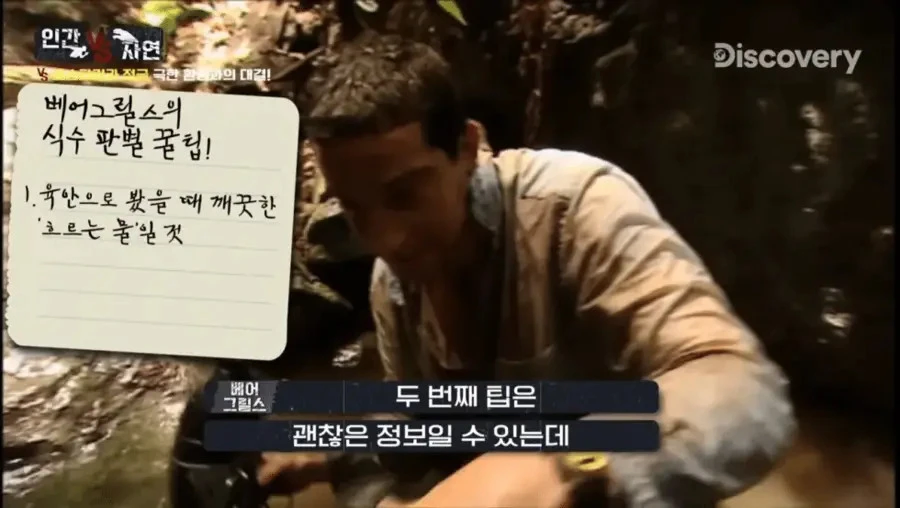 조난 당했을때 깨끗한 물을 구별하는 꿀팁_4.webp