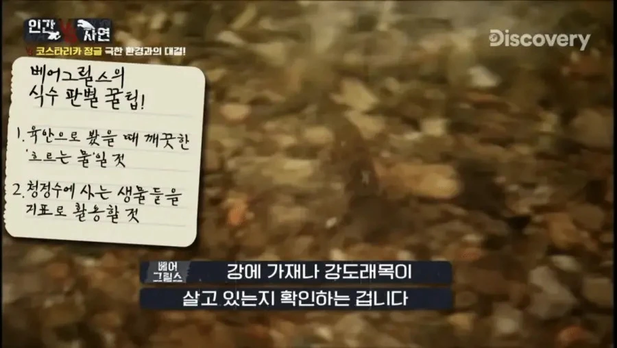 조난 당했을때 깨끗한 물을 구별하는 꿀팁_5.webp