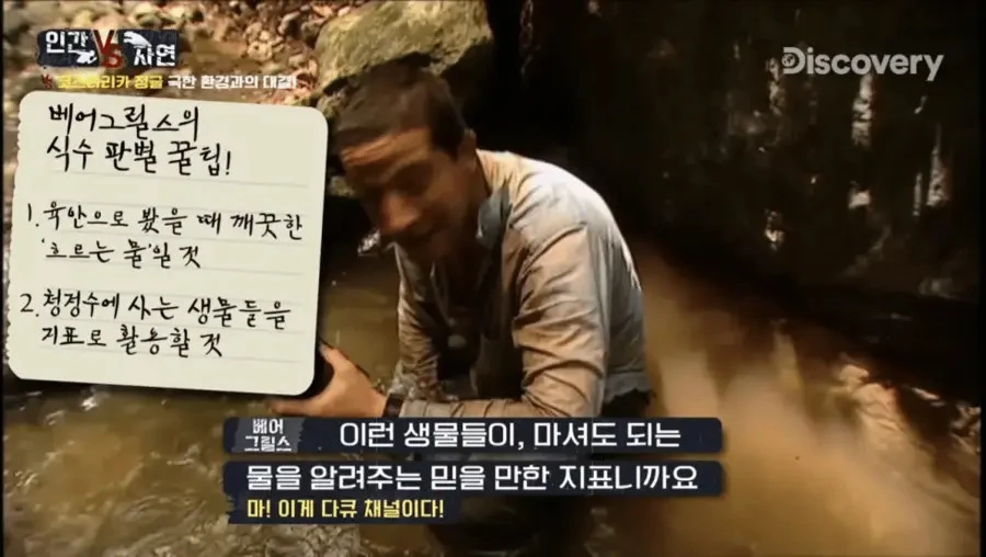 조난 당했을때 깨끗한 물을 구별하는 꿀팁_6.webp