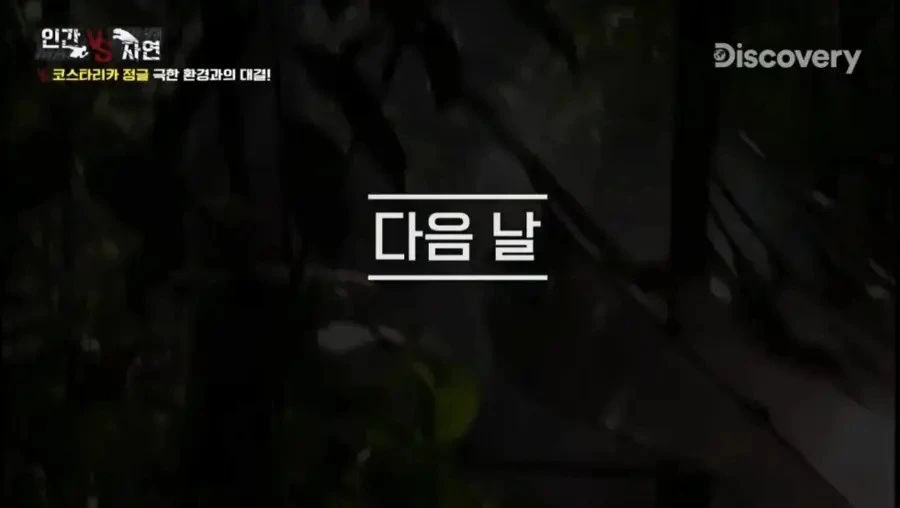 조난 당했을때 깨끗한 물을 구별하는 꿀팁_7.webp