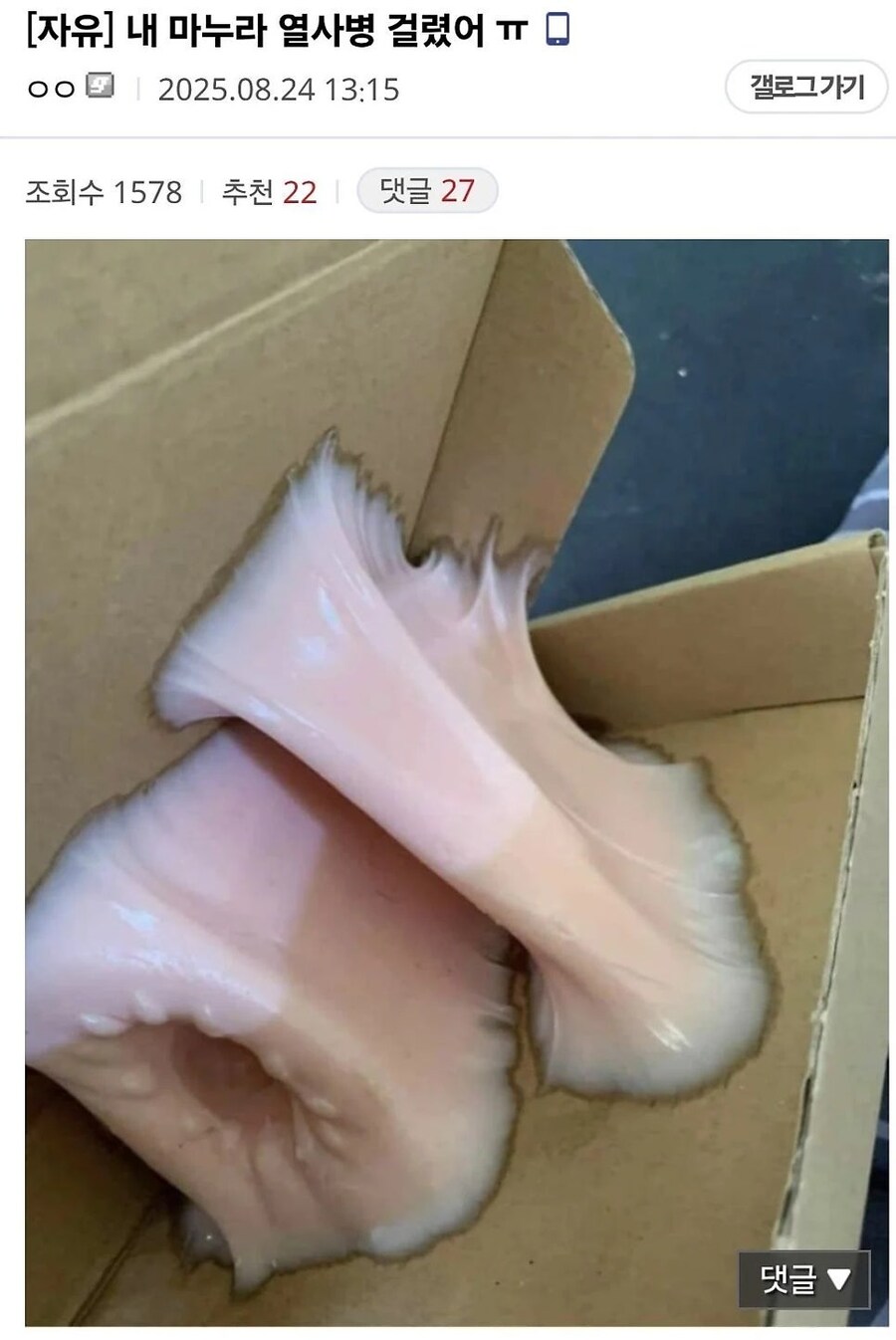 어느 디시인의 열사병 걸린 마누라_1.jpg