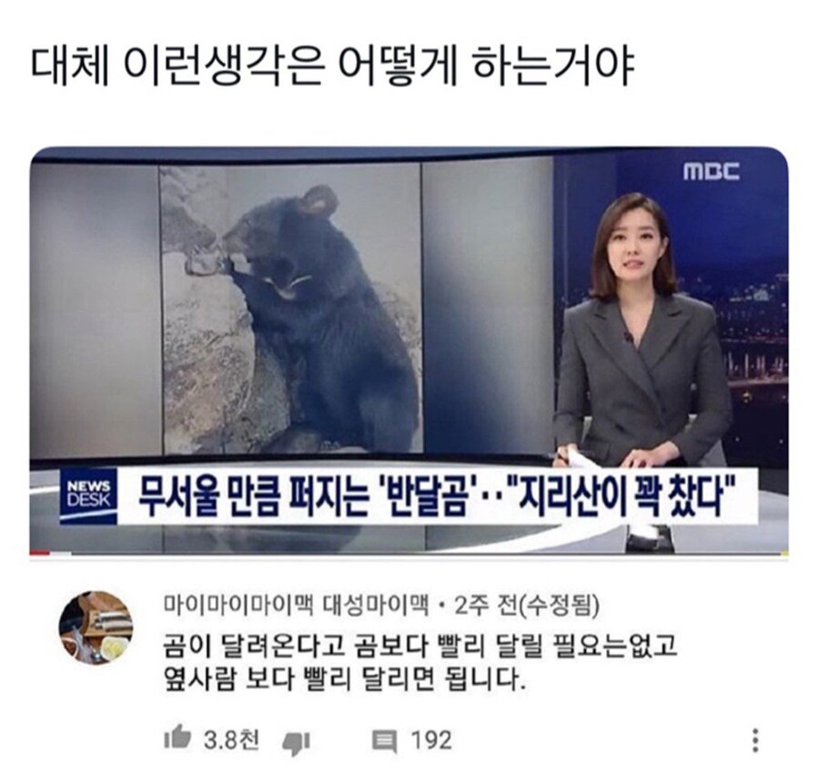 곰 만나서 살아남는 방법.jpg_1.jpg