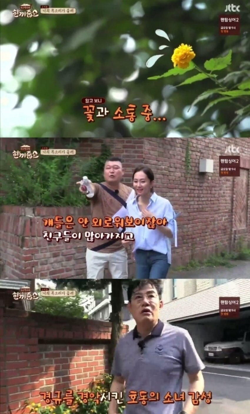 강호동 예능이 힘든 이유_2.jpg