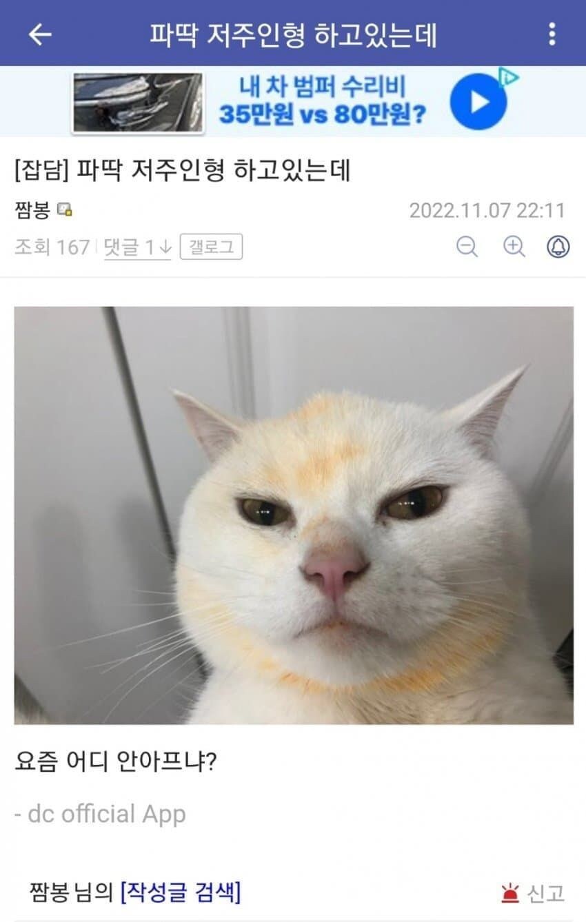 의외로 효과있는 오컬트_1.jpg