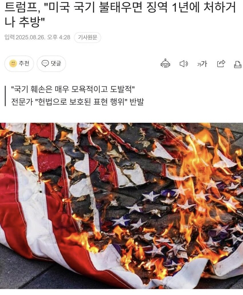 트럼프 “미국 국기 불태우면 징역 1년이나 추방”.jpg_1.jpg